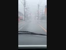 ホモと見る　台風でバグるカラフル信号機