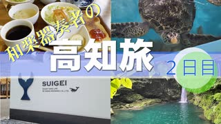 【旅動画#20】高知県最高！2日目＜高知県＞