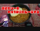 夏色カリーの大体10分カレーライス