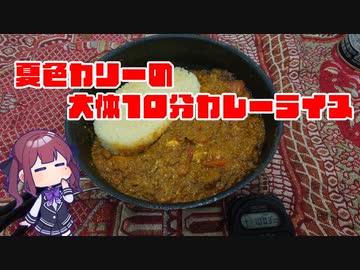 夏色カリーの大体10分カレーライス