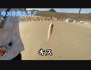 夏も終わりなのでキス釣りに行ってきた