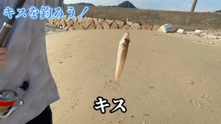 夏も終わりなのでキス釣りに行ってきた