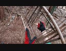 変態忍者の、有害鳥獣駆除従事活動記・その２１２
