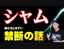 【syamuとは】なぜ人気なのか？ヤバいまとめ知識５選