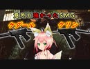 【EFT】狭い場所はケダールかケリンを使ってみて(｡･ω･｡)（「MP7でいいやん」←これなしです(。´･ω･)）