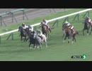 【菊花賞の前哨戦】第76回セントライト記念(GII) 2022.9.19