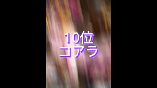 ワンピース可愛いキャラランキング