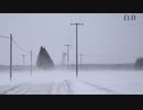 白日【歌ってみた】