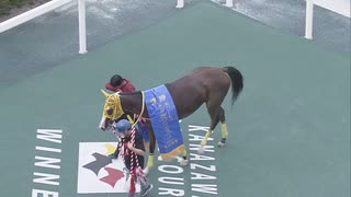 第17回金沢プリンセスカップ（トランセンド賞） 口取り