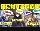 【ツイステ】授業中の『猫（ルチウス）』に対する反応集〜おまけ有〜【ツイステッドワンダーランド】 【Twisted-Wonderland】魔法史
