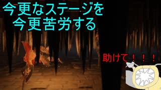 【実況】寄生虫がエルデンリングの世界にやってきたの　５２【初見プレイ】