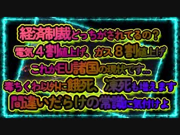 どっちが経済制裁してんのさ❓今後は餓死凍死も増える予感...間違いだらけの常識にいつ気付くの❓