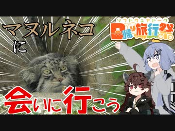 【日帰り旅行祭】マヌルネコに会いに行こう！【王子動物園】