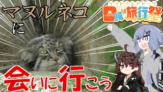 【日帰り旅行祭】マヌルネコに会いに行こう！【王子動物園】