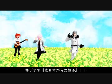 【Fate/MMD】幣デアで夜もすがら君想ふ【幣デア】