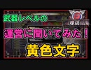 【地球防衛軍6】武器レベルの黄色表示について運営に聞いてみた！【EDF6】