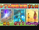 いくつ知ってる？ブレワイのレア&特殊テキストまとめ【ブレワイ BotW】裏技 バグ 検証 ゆっくり実況 glitch
