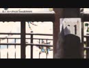 【ニコカラ】嘘  /  メンヘラひよこ【onvocal】