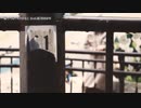 【ニコカラ】嘘  /  メンヘラひよこ【offvocal】
