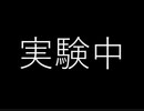実験.mp4