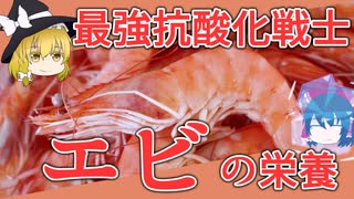 【ゆっくり解説】エビの栄養について解説！