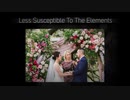 Wedding Florist