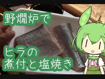【野燗炉】ヒラの煮付けと塩焼きで呑む【ﾐﾆ長火鉢】