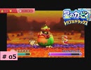 # α5　クリア率100％をめざして【星のカービィ トリプルデラックス 】