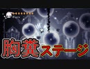 【実況】俺のホロウナイト　その25(白い宮殿編)【HOLLOW KNIGHT】