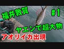 【#1 釣り動画】ヤエン釣りで大物のアオリイカがアジに食いつきました！引きがヤバイ！