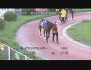 ＪＢＣクラシック指定競走 第34回珊瑚冠賞 パドック～本馬場入場