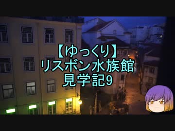【ゆっくり】リスボン水族館見学記9