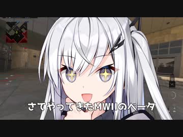 「やぁ、MWIIのベータを遊んだアリアルさんだよ」