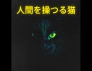 人間を操つる猫【ゆっくり朗読】