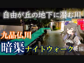 “自由が丘の地下に潜む川”九品仏川の暗渠ナイトウォーク後半【VOICEVOX暗渠】
