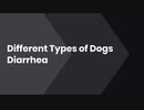 Different Types of Dogs Diarrhea