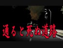 通ると必ず死ぬ道路に行くことになったホラーゲームが怖すぎる