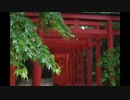 【オリジナル】狐の嫁入り【和風ピアノ】