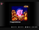 【実況】周りを巻き込んでを星のカービィスーパーデラックスやってみたPart11