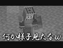 【マイクラ】転生したらエルデの救世主だった件・・・第５話【いつくも】