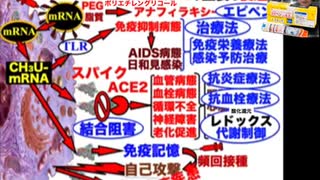 井上正康先生医者向け講義より「ワクチンの有害事象と後遺症」@kinoshitayakuhi