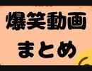 [実況]  爆笑ゲーム実況 極限のストレス解消編・笑いのツボ（4本のゲーム）