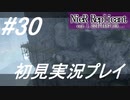 【ニーアレプリカント】感情移入の激しい人が頑張る実況#30【実況】