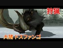 【実況】ぼっちハンターが行く！モンスターハンターXX 第5回