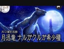【Coefont】気まぐれ狩猟日記_ナルガクルガ希少種編【MHRise：SB Switch版】