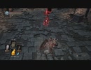 40歳の『DARK SOULSⅢ』実況【ネタバレ注意】64　1/2