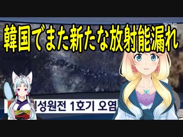 【韓国の反応】韓国で放射能汚染水が漏れ続けている事実が確認される！【世界の〇〇にゅーす】