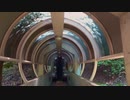 大阪教育大学スカイエスカレーター