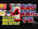 【1994年京都】小学校の焼却炉から体育すわりの黒焦げになった児童を発見 「京都府児童焼却炉転落事故」【ゆっくり解説】