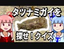 【琴葉姉妹の磯遊び】クイズ：タツナミガイを探せ！【VOICEROID解説】